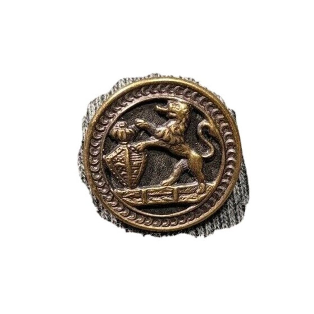 Lion Antique Button Coat of Arms Lion & Shield Vintage early to mid 1900s